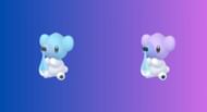 Cubchoo and its shiny form (Image via The Pokemon Company)